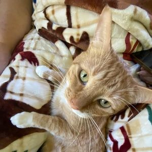 Meet your Posher, Mo